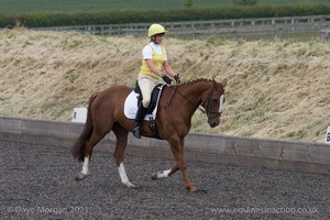 ISIS Dressage Challenge 2008